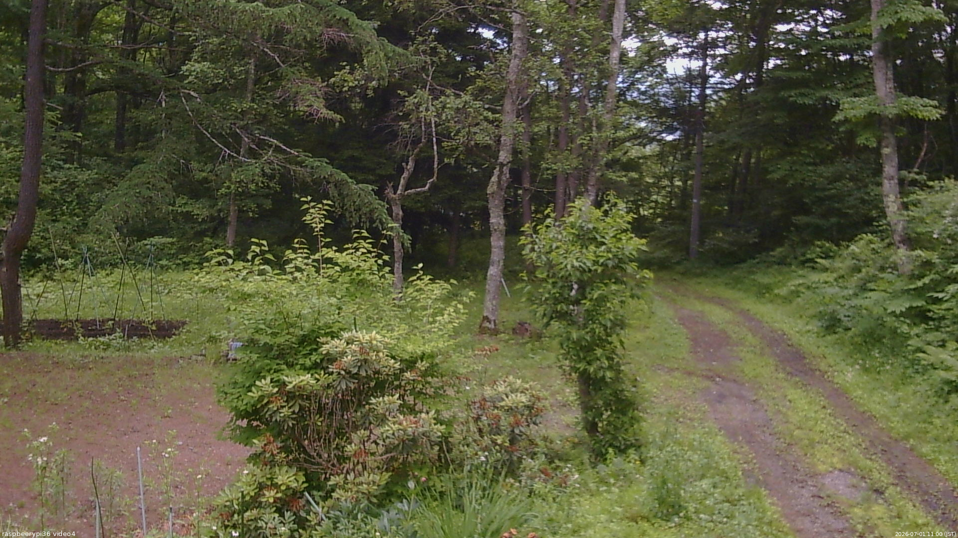 長野県菅平高原 ゆたか山荘 坂上 2026/07/01 11:00
