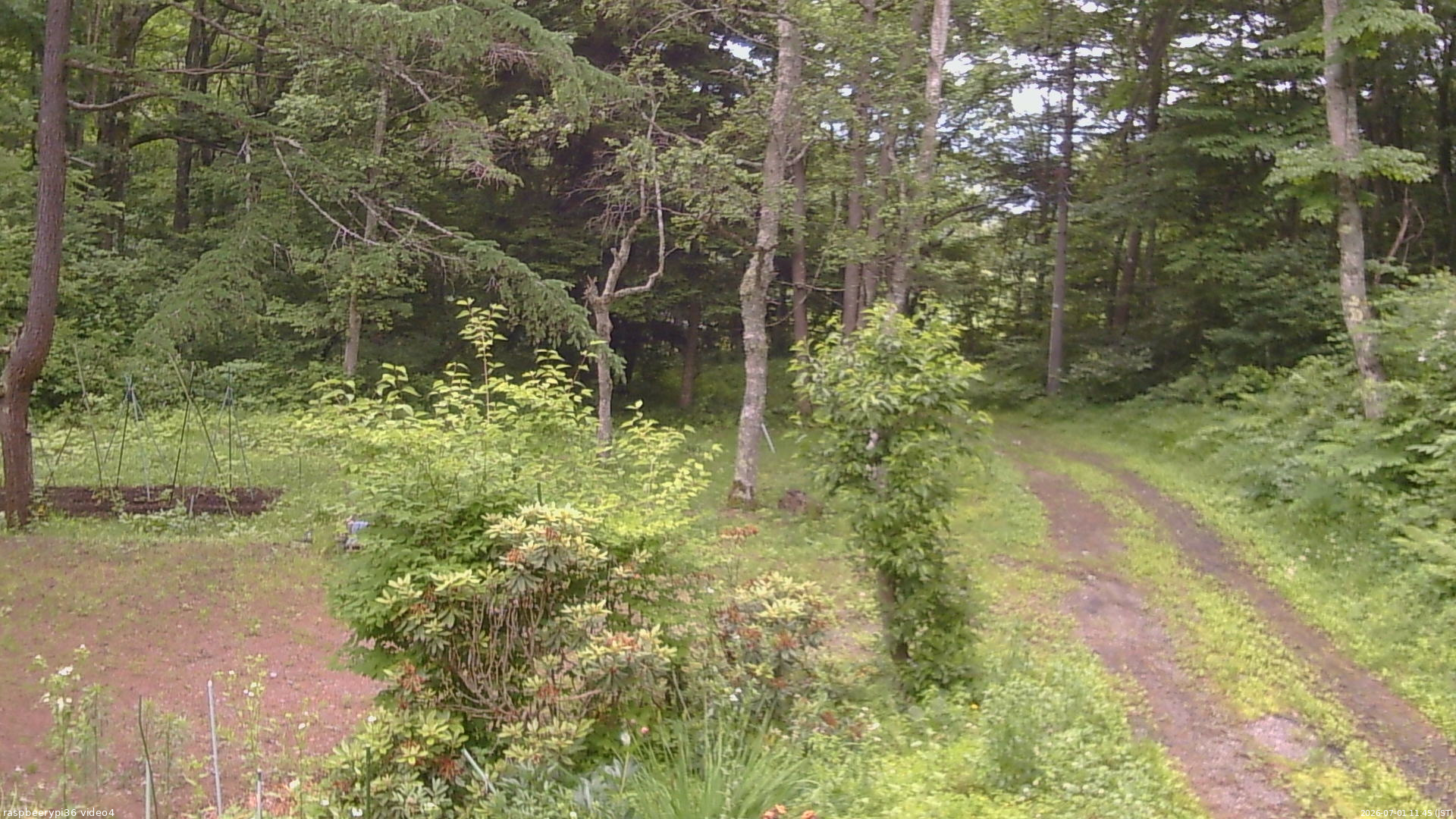 長野県菅平高原 ゆたか山荘 坂上 2026/07/01 11:45