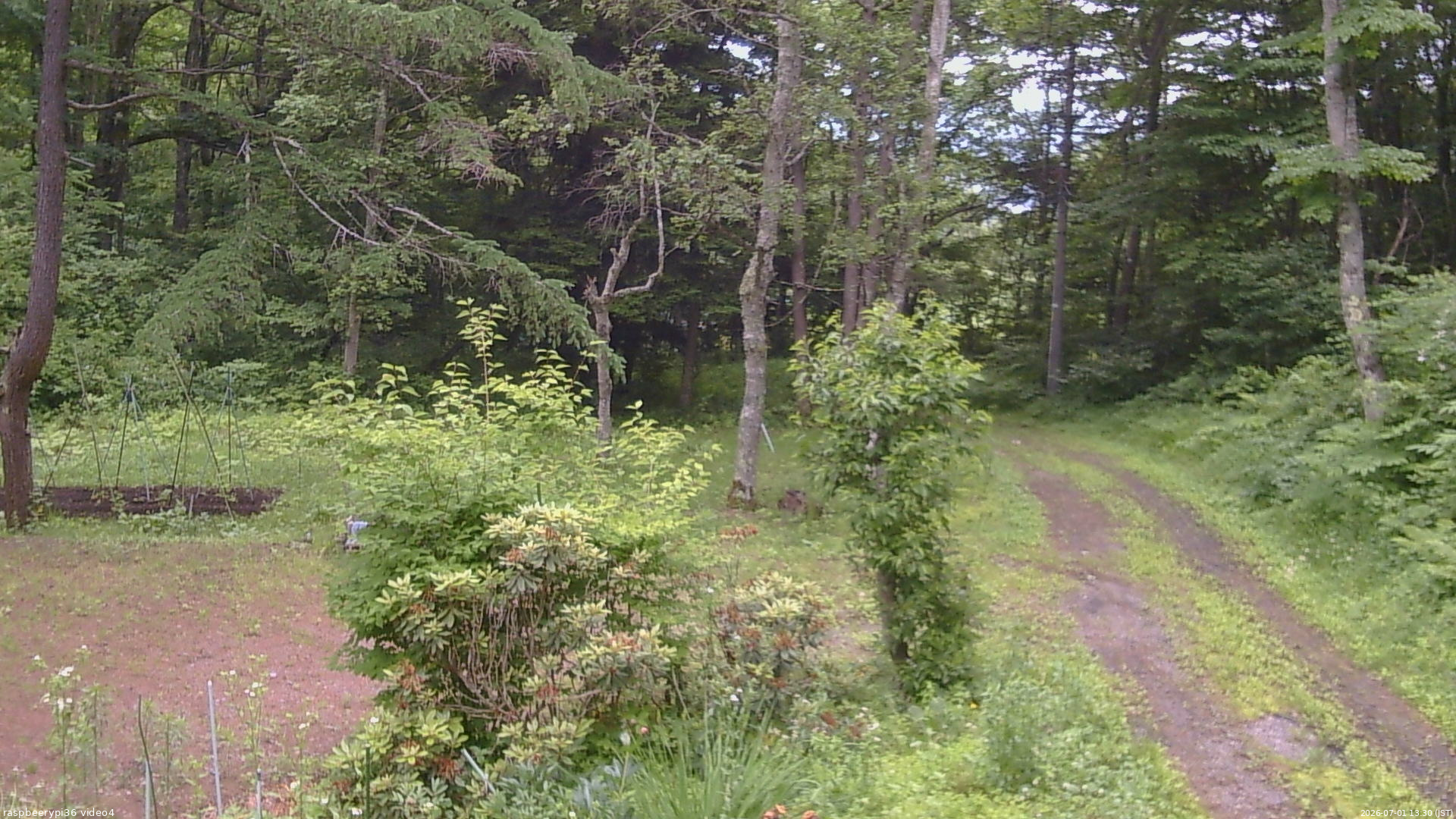 長野県菅平高原 ゆたか山荘 坂上 2026/07/01 13:30