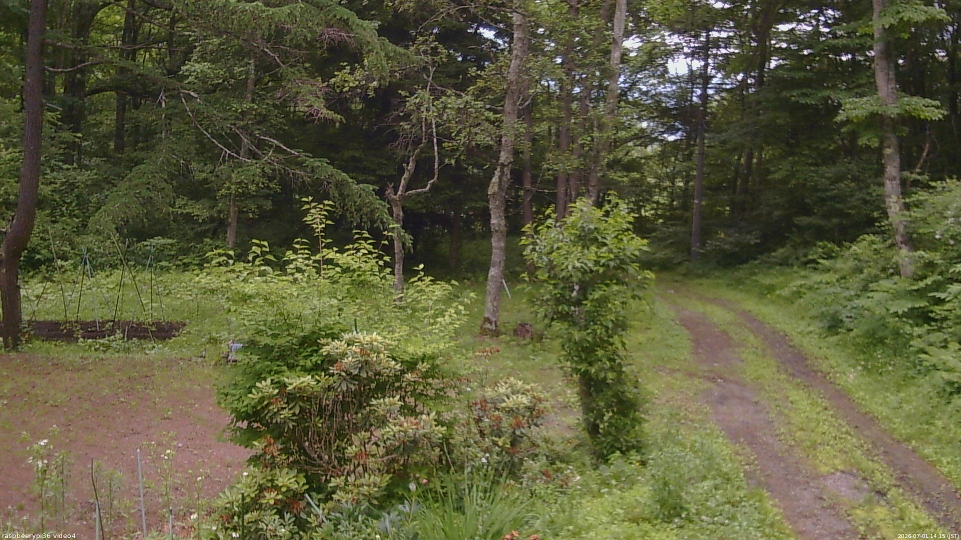 長野県菅平高原 ゆたか山荘 坂上 2026/07/01 14:15
