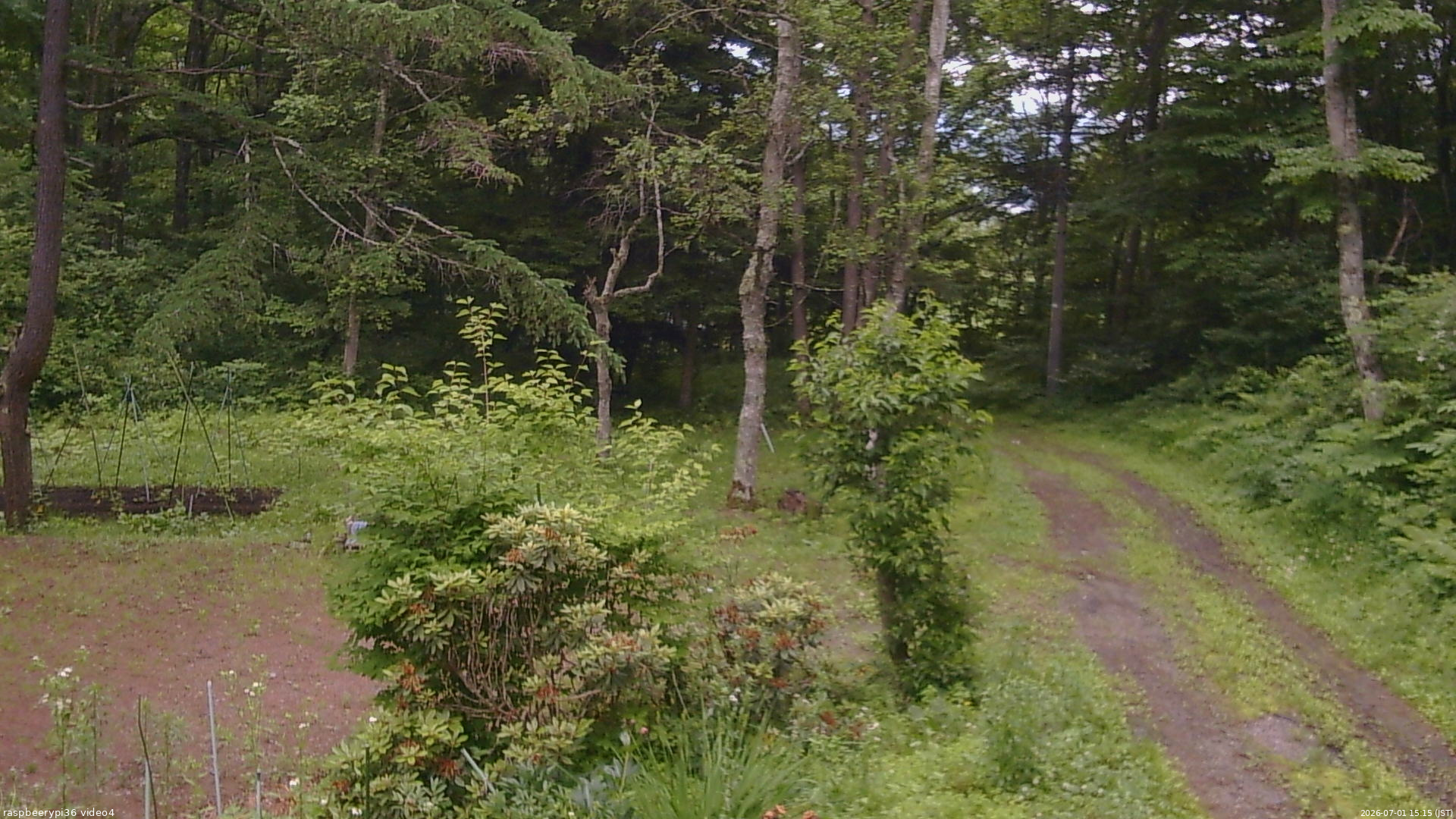 長野県菅平高原 ゆたか山荘 坂上 2026/07/01 15:15