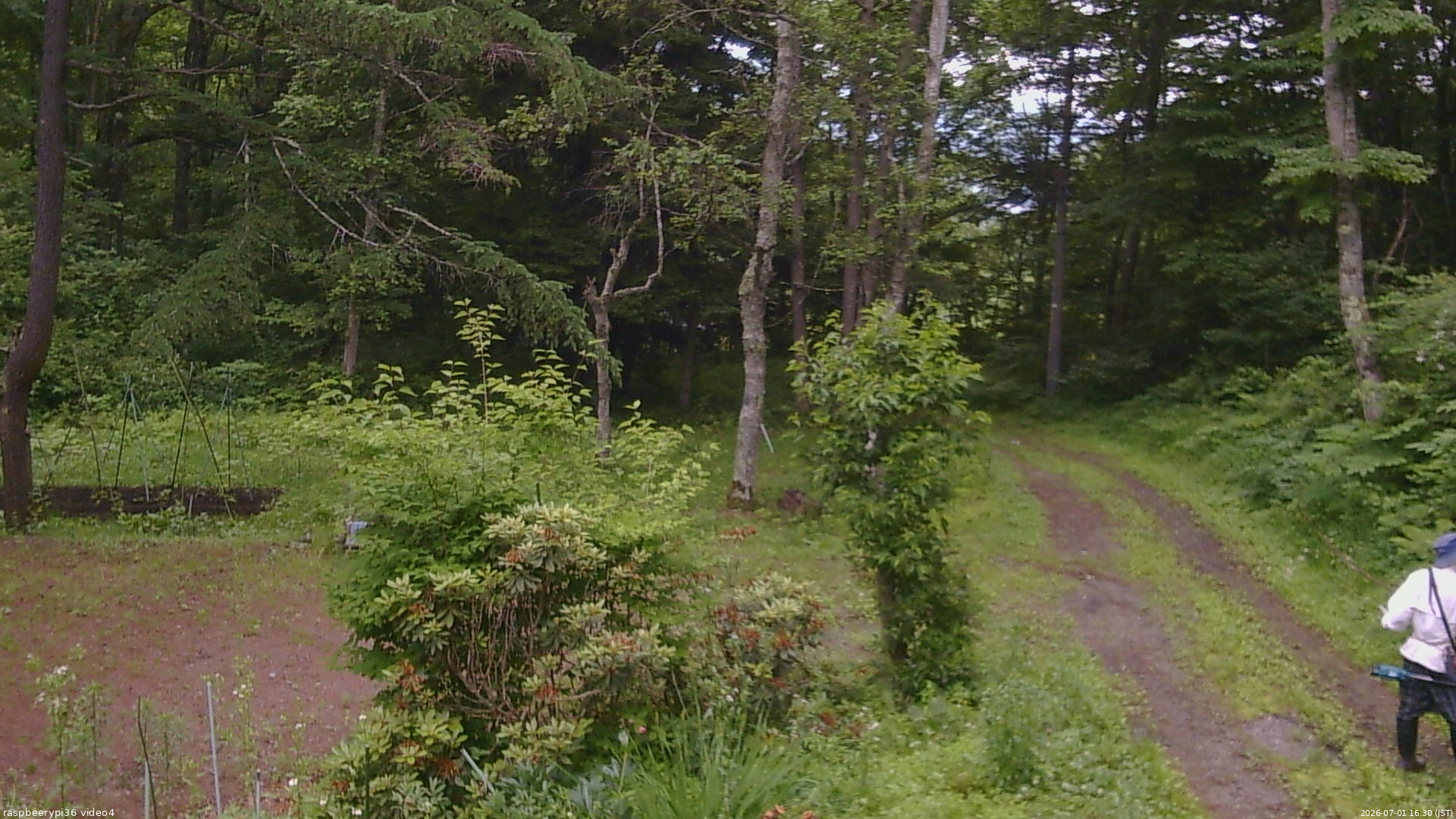 長野県菅平高原 ゆたか山荘 坂上 2026/07/01 16:30