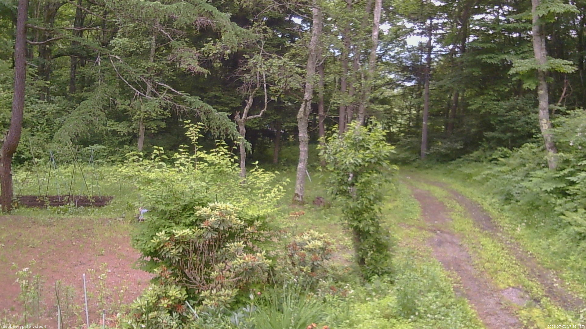 長野県菅平高原 ゆたか山荘 坂上 2026/07/01 17:30