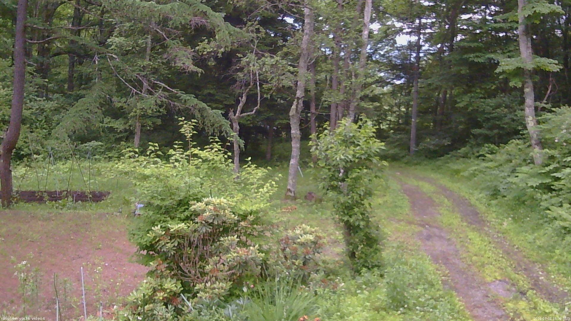 長野県菅平高原 ゆたか山荘 坂上 2026/07/01 18:30