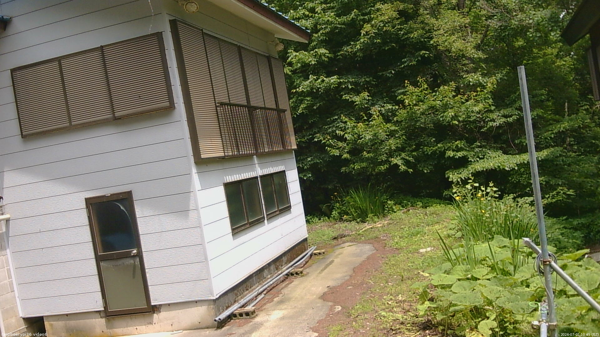 長野県菅平高原 ゆたか山荘 坂下 2026/07/01 10:45