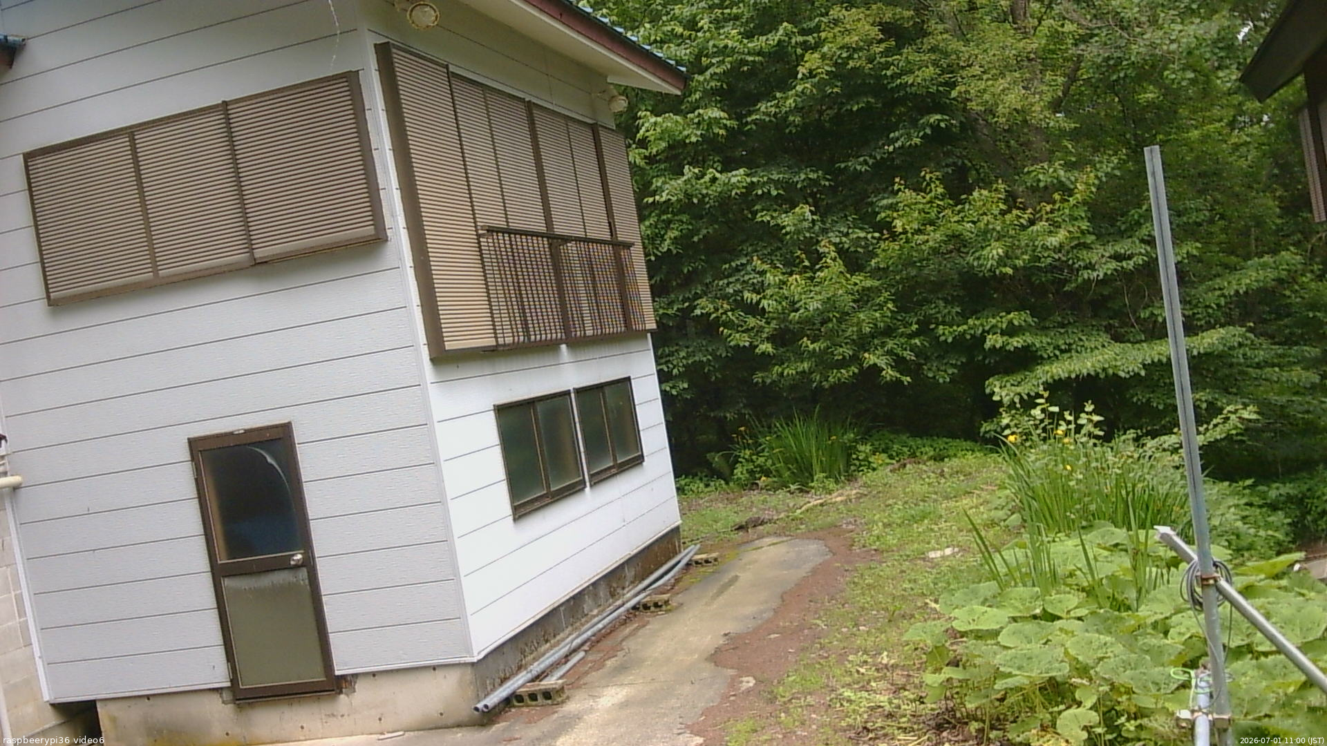 長野県菅平高原 ゆたか山荘 坂下 2026/07/01 11:00