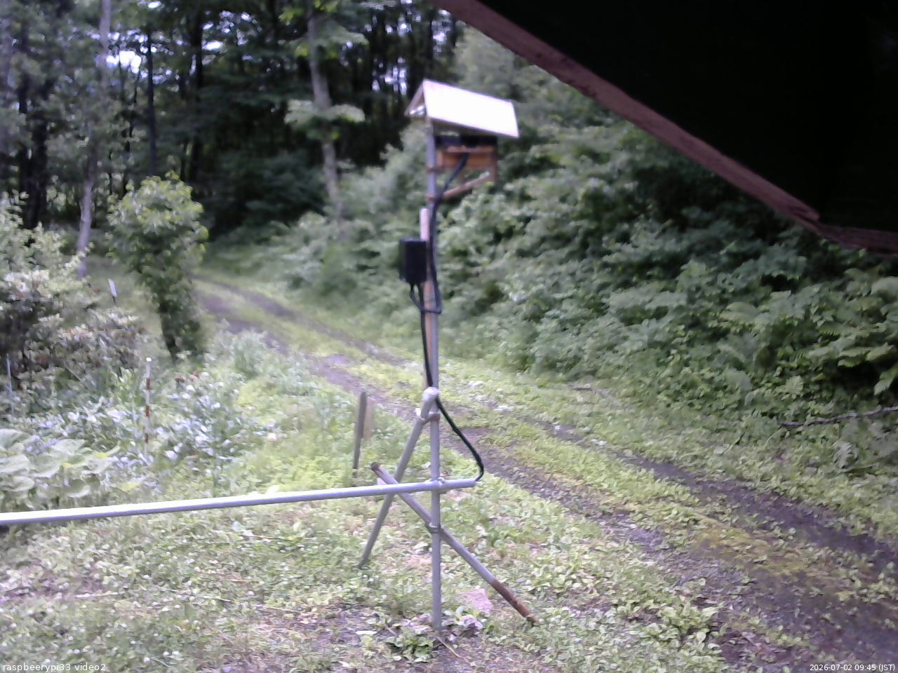 長野県菅平高原 ゆたか山荘 南側 2026/07/02 09:45