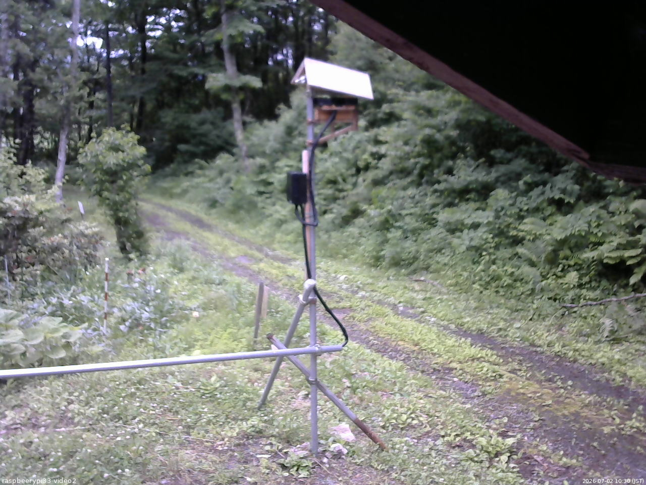 長野県菅平高原 ゆたか山荘 南側 2026/07/02 10:30