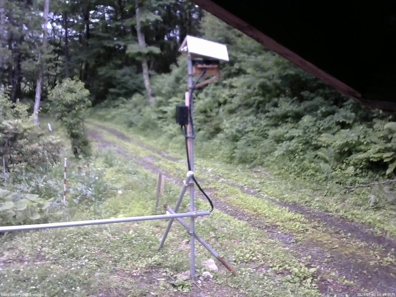 長野県菅平高原 ゆたか山荘 南側 2026/07/02 10:45