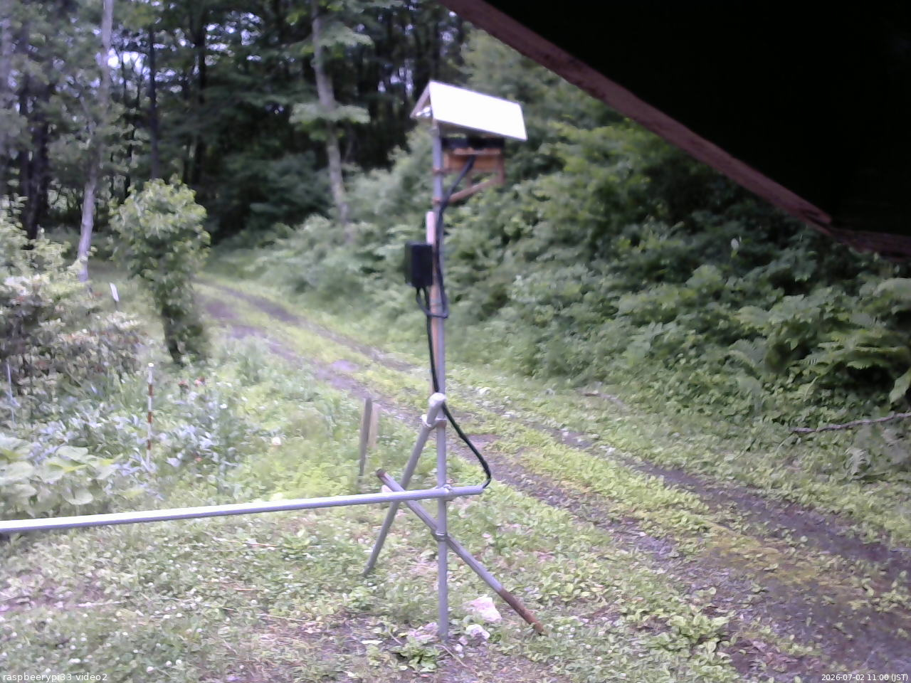長野県菅平高原 ゆたか山荘 南側 2026/07/02 11:00
