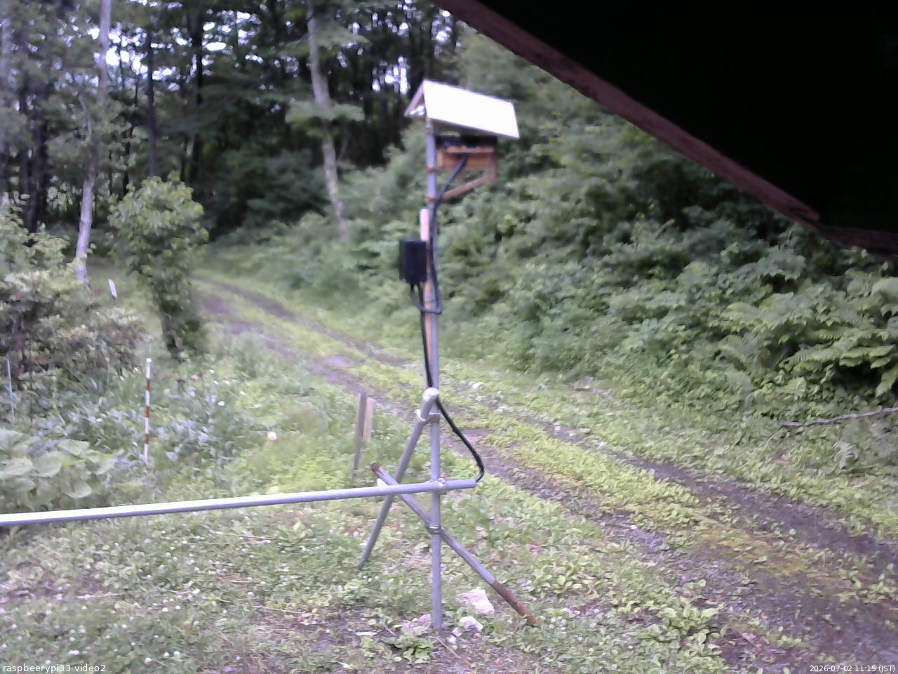 長野県菅平高原 ゆたか山荘 南側 2026/07/02 11:15