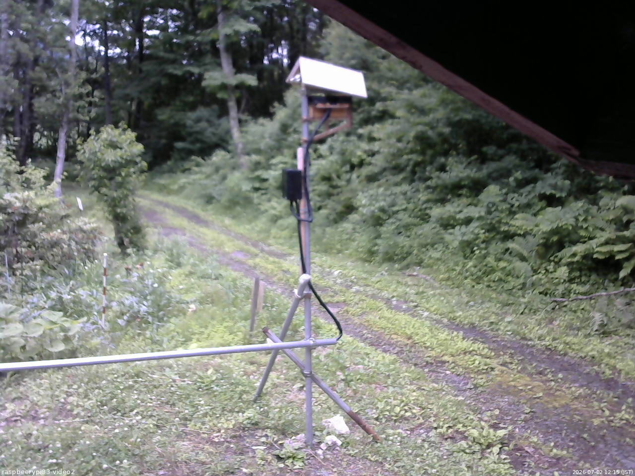 長野県菅平高原 ゆたか山荘 南側 2026/07/02 12:15