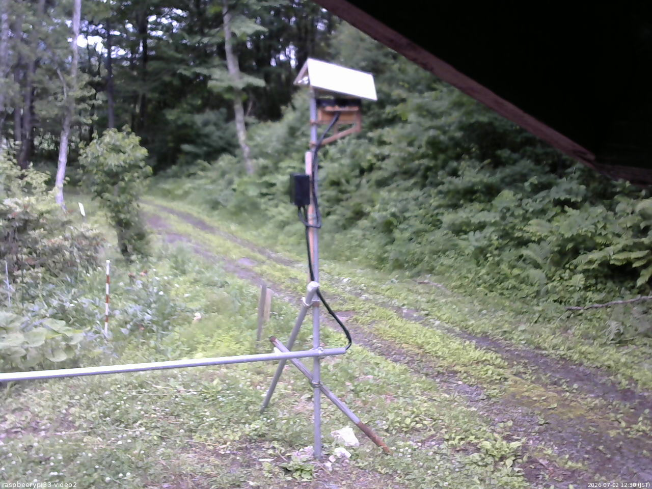 長野県菅平高原 ゆたか山荘 南側 2026/07/02 12:30