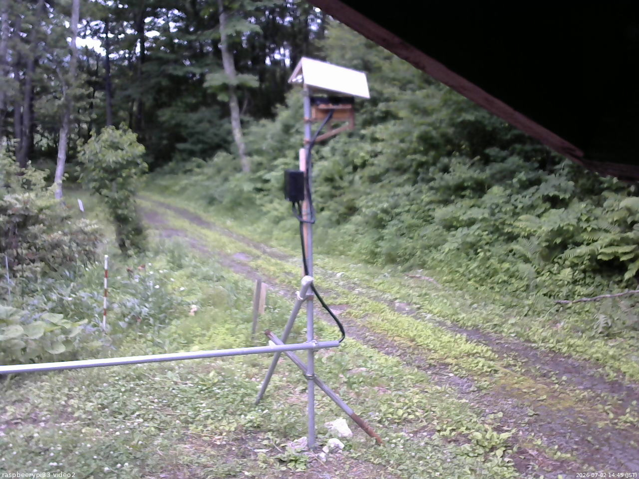 長野県菅平高原 ゆたか山荘 南側 2026/07/02 14:45