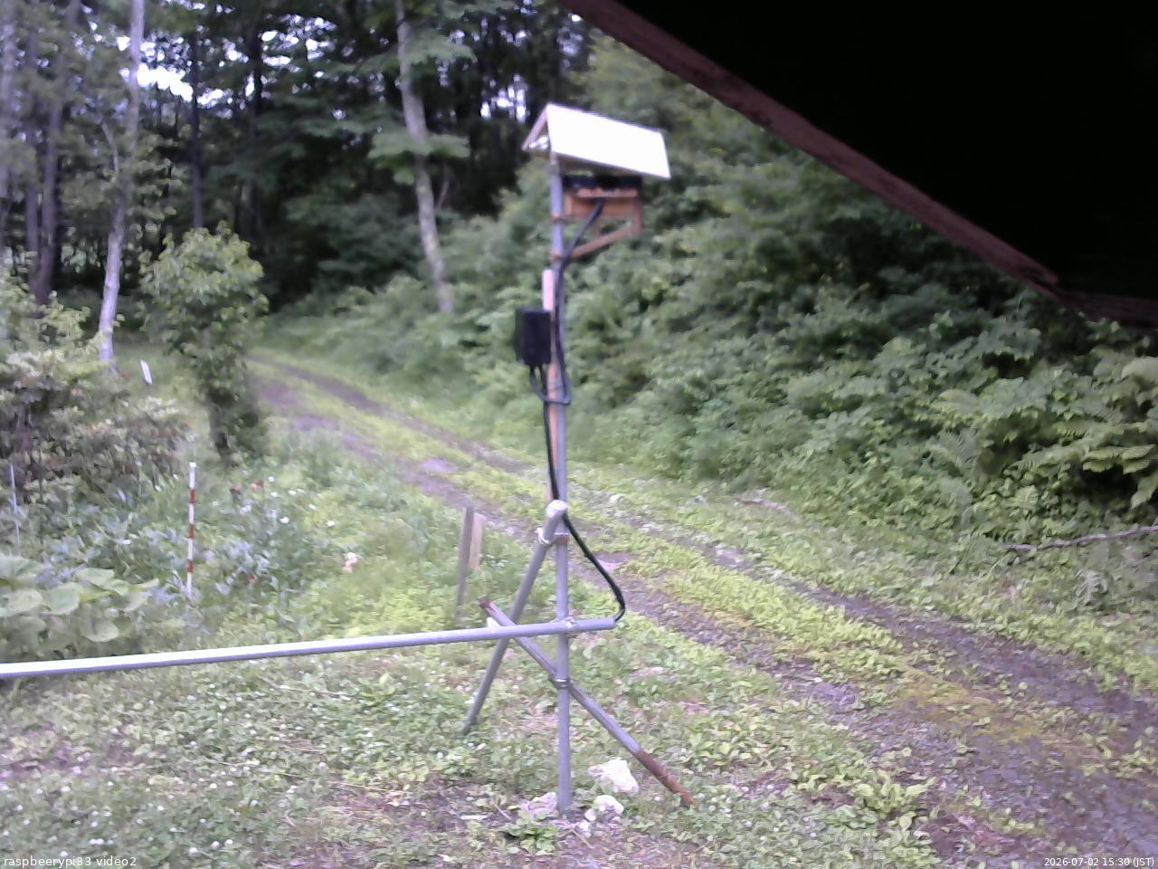長野県菅平高原 ゆたか山荘 南側 2026/07/02 15:30