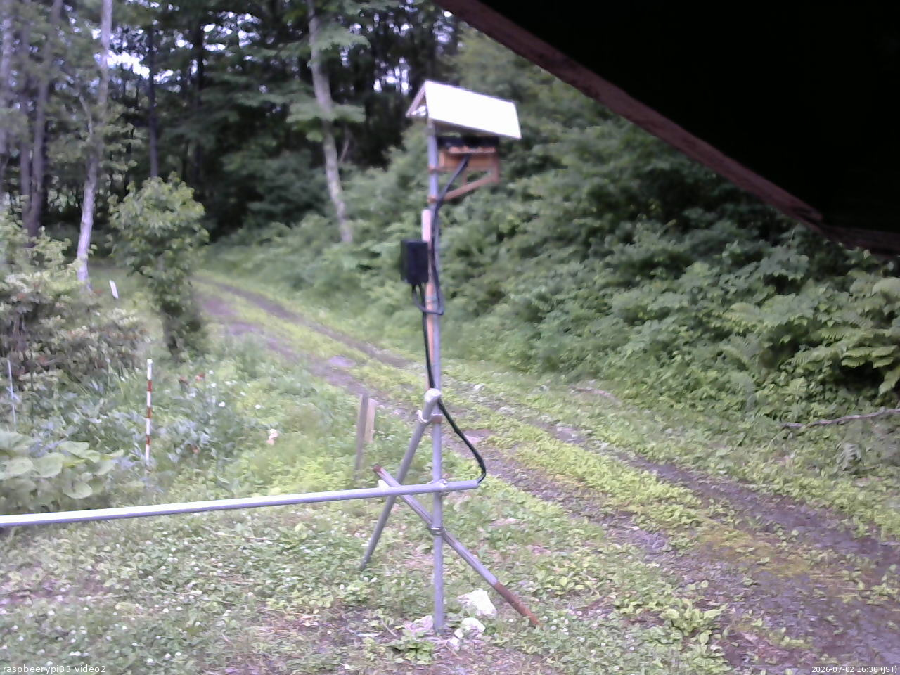 長野県菅平高原 ゆたか山荘 南側 2026/07/02 16:30