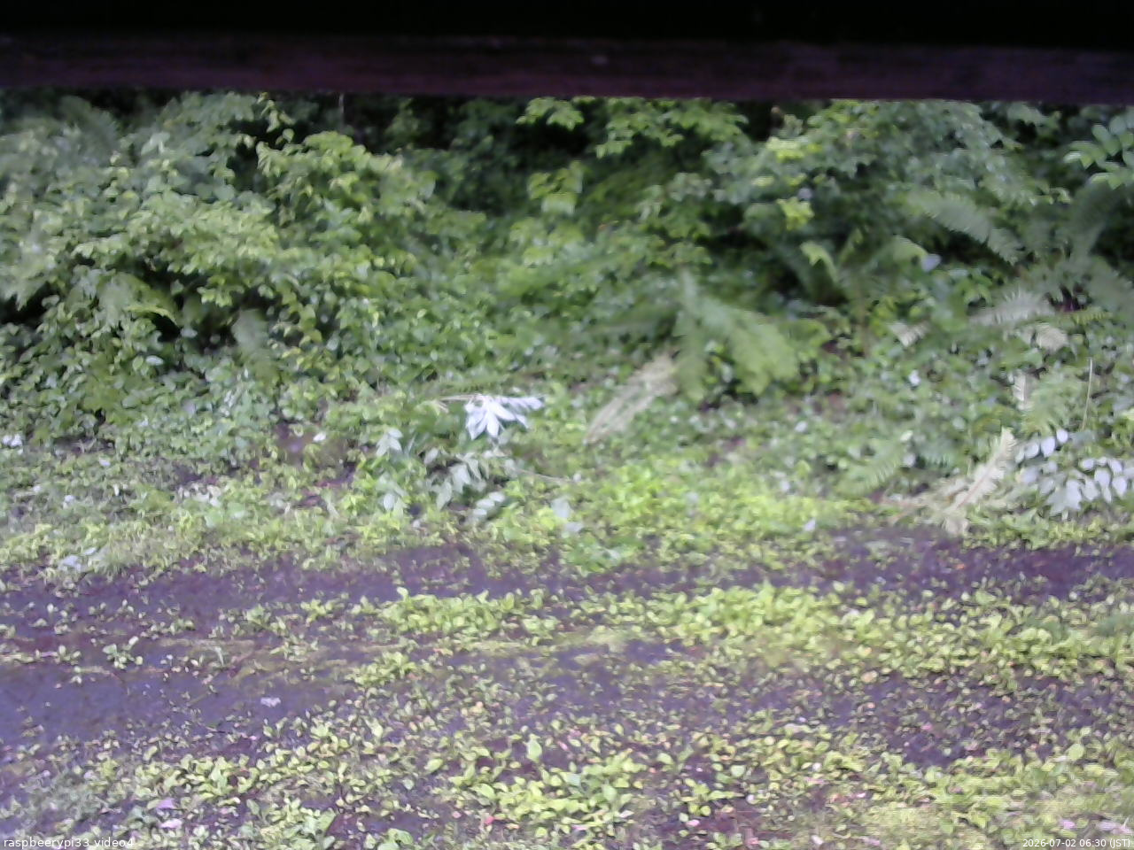 長野県菅平高原 ゆたか山荘 東側(坂下) 2026/07/02 06:30