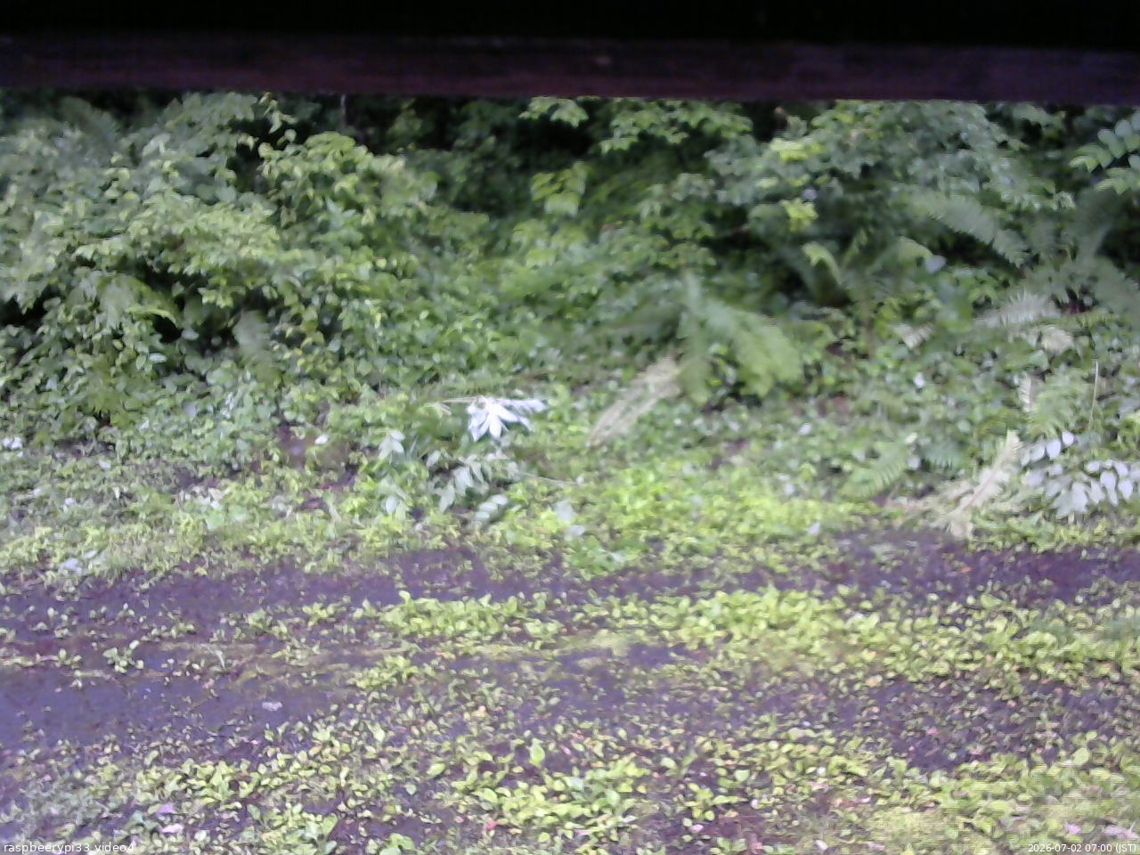 長野県菅平高原 ゆたか山荘 東側(坂下) 2026/07/02 07:00