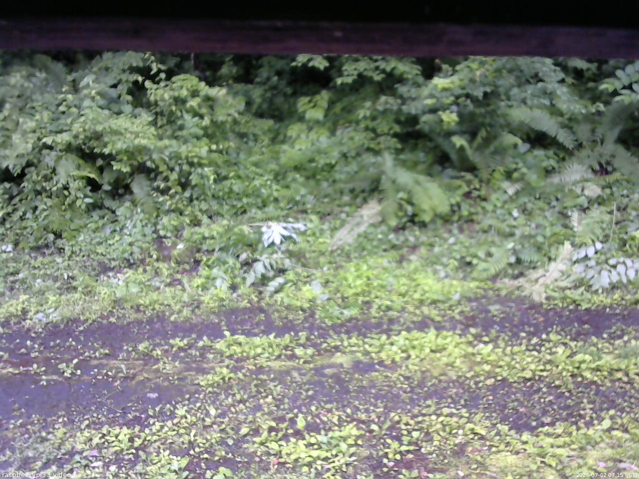 長野県菅平高原 ゆたか山荘 東側(坂下) 2026/07/02 07:15