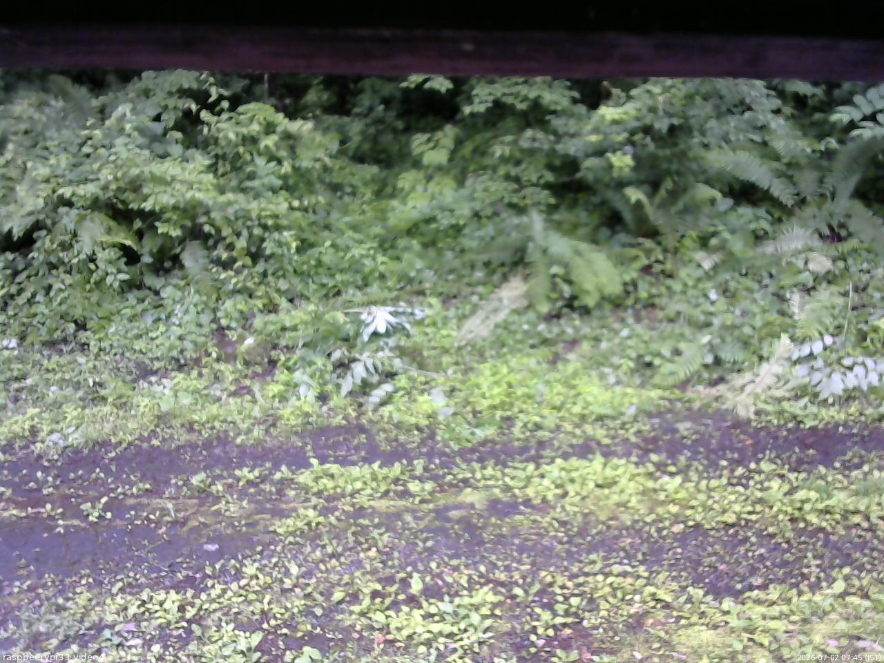 長野県菅平高原 ゆたか山荘 東側(坂下) 2026/07/02 07:45