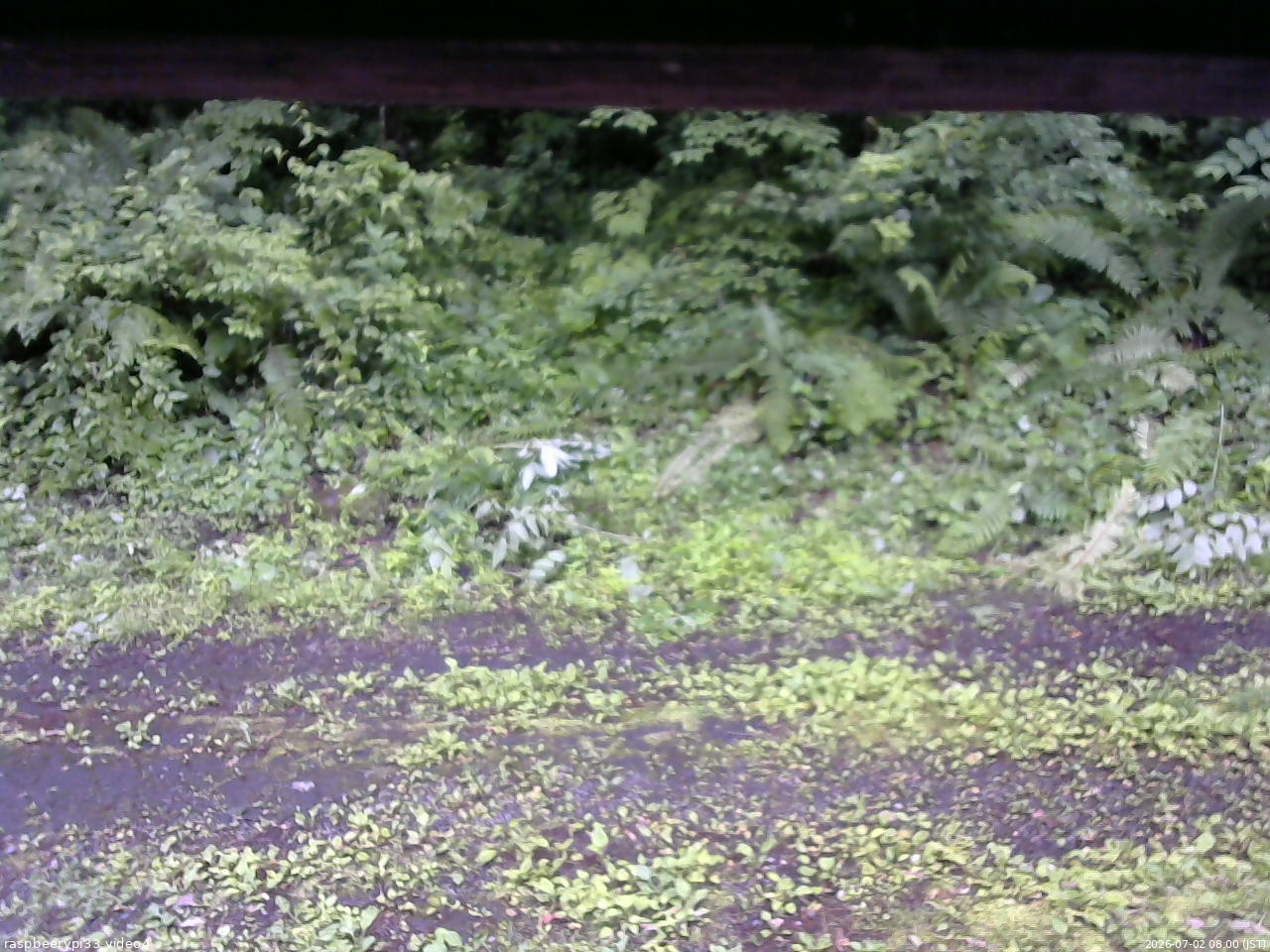 長野県菅平高原 ゆたか山荘 東側(坂下) 2026/07/02 08:00