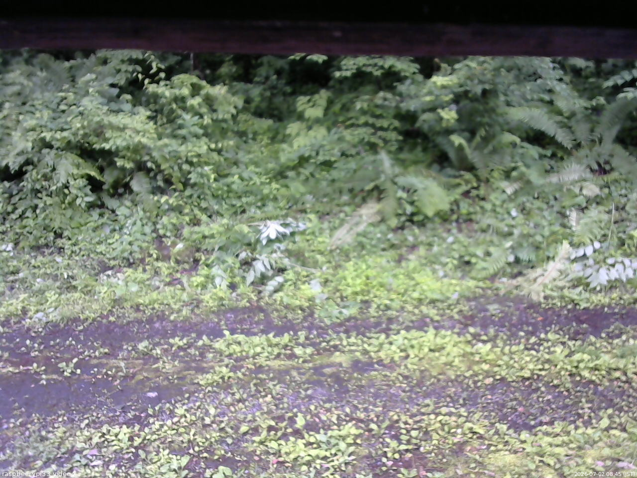 長野県菅平高原 ゆたか山荘 東側(坂下) 2026/07/02 08:45