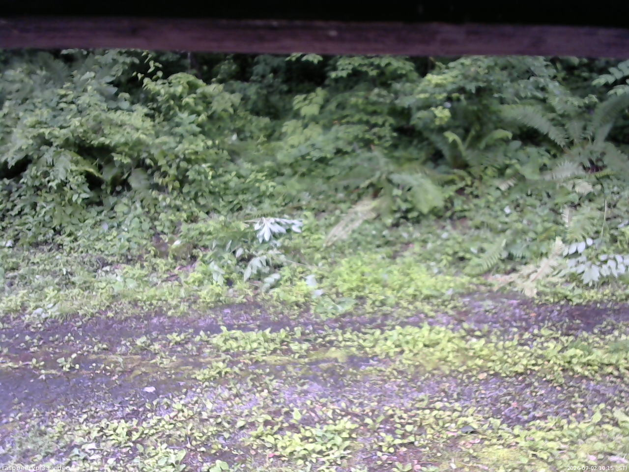 長野県菅平高原 ゆたか山荘 東側(坂下) 2026/07/02 10:15