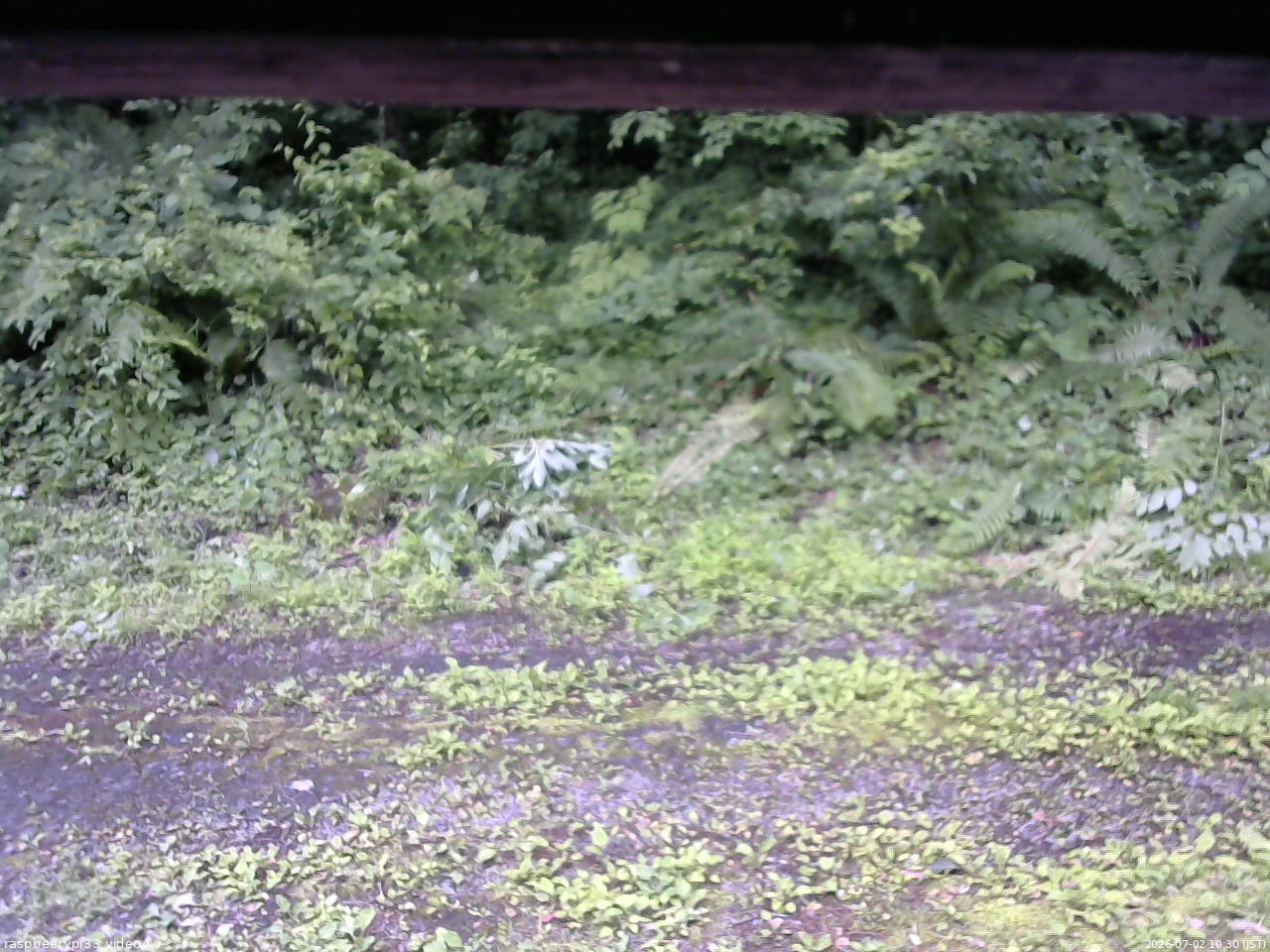 長野県菅平高原 ゆたか山荘 東側(坂下) 2026/07/02 10:30