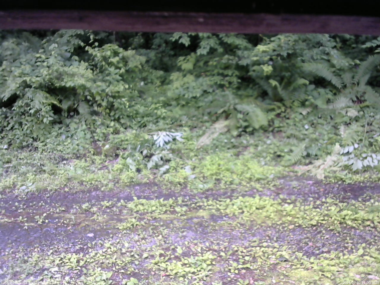 長野県菅平高原 ゆたか山荘 東側(坂下) 2026/07/02 11:00