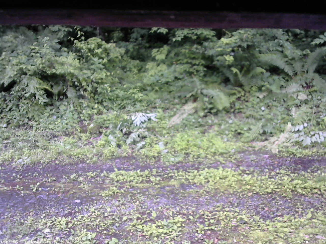 長野県菅平高原 ゆたか山荘 東側(坂下) 2026/07/02 11:30