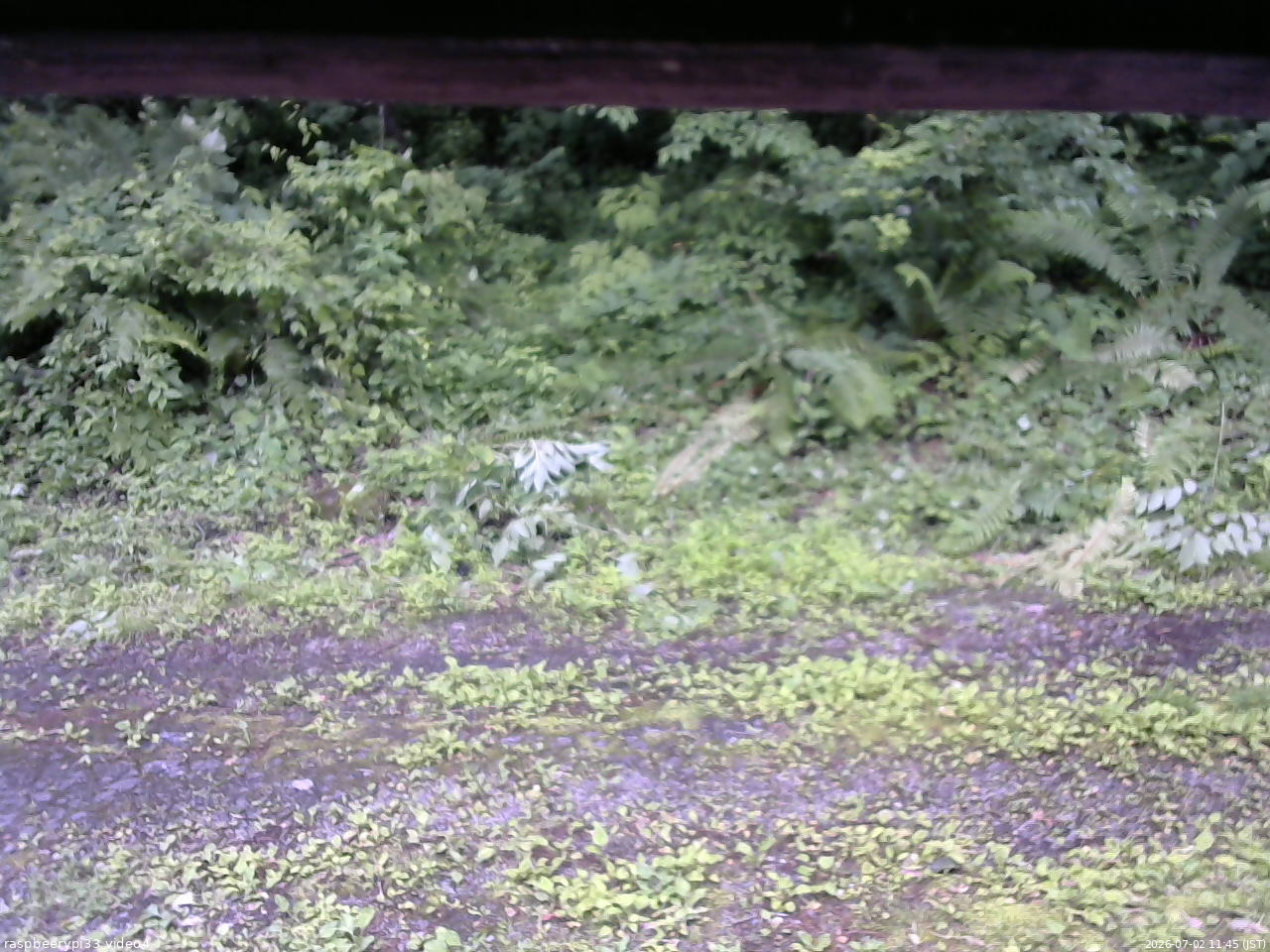 長野県菅平高原 ゆたか山荘 東側(坂下) 2026/07/02 11:45