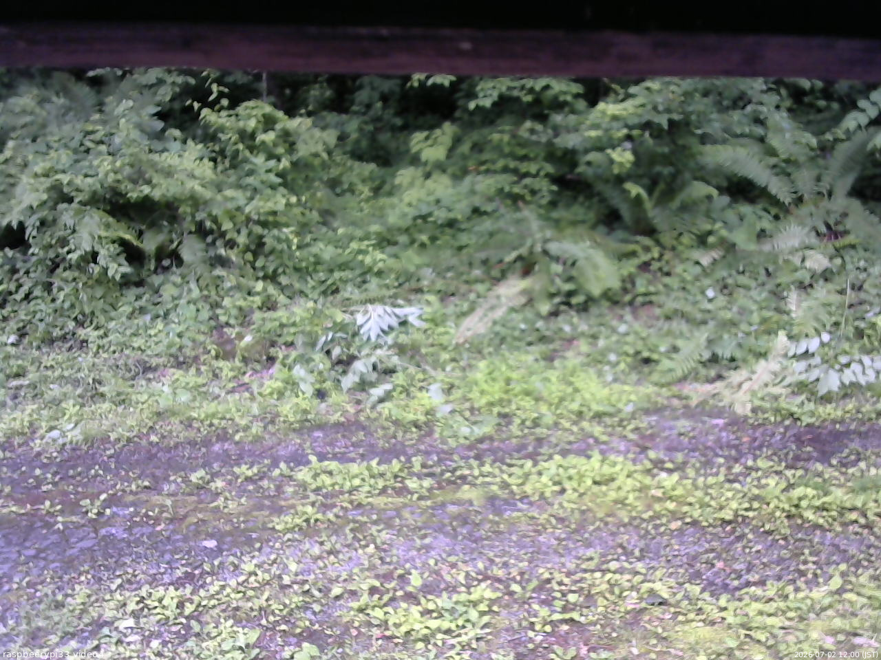 長野県菅平高原 ゆたか山荘 東側(坂下) 2026/07/02 12:00
