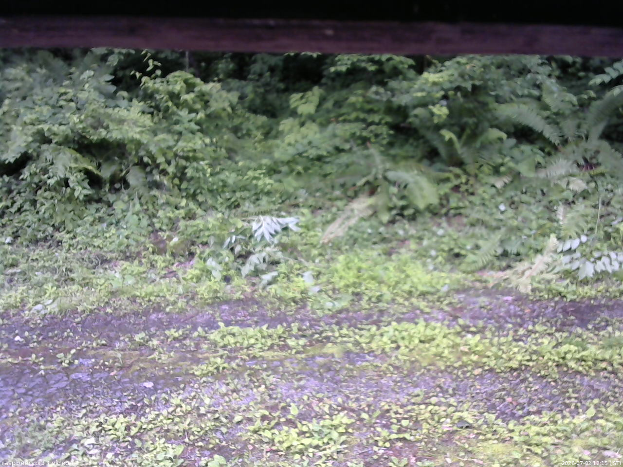 長野県菅平高原 ゆたか山荘 東側(坂下) 2026/07/02 12:15