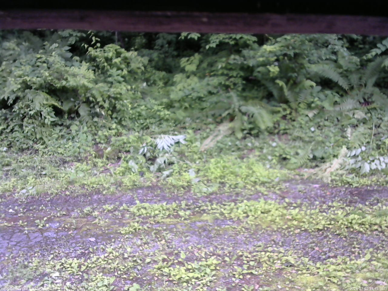 長野県菅平高原 ゆたか山荘 東側(坂下) 2026/07/02 13:45