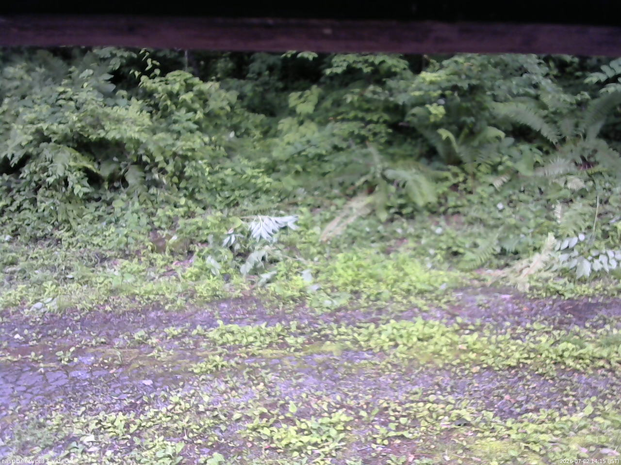 長野県菅平高原 ゆたか山荘 東側(坂下) 2026/07/02 14:15