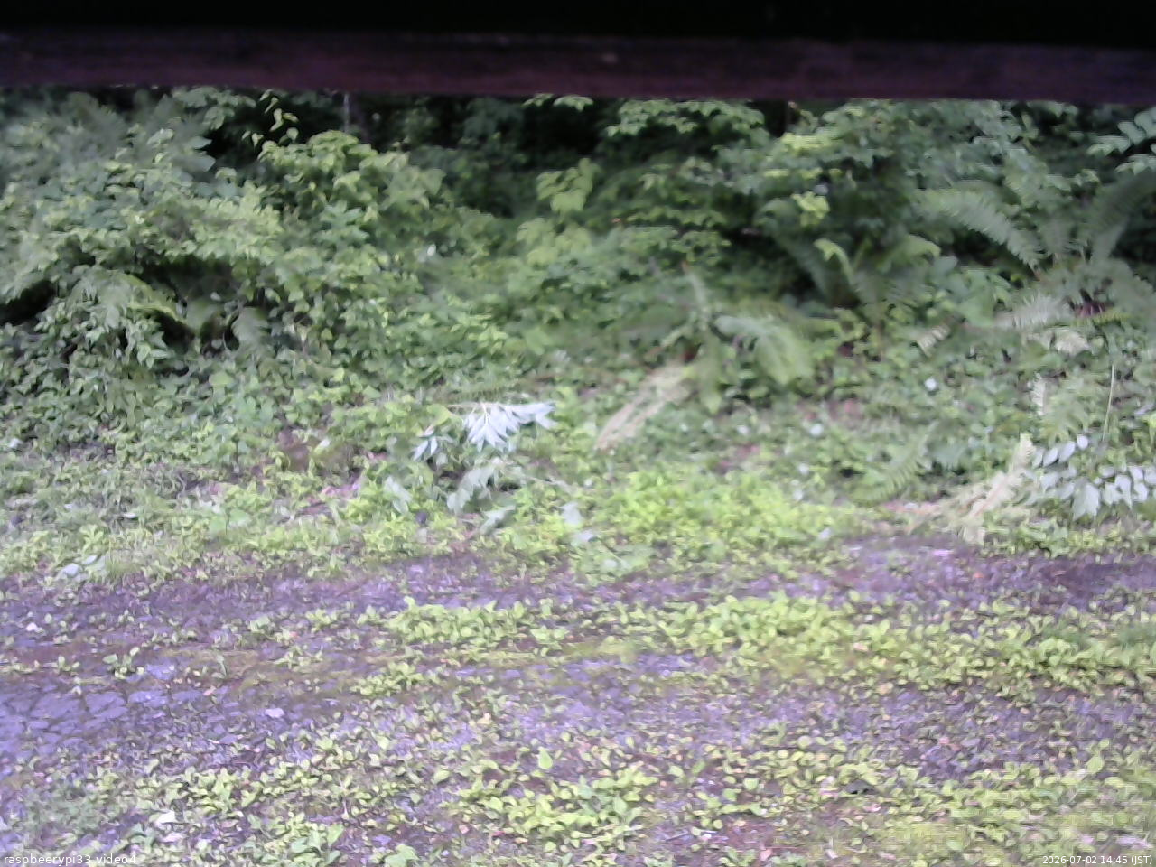 長野県菅平高原 ゆたか山荘 東側(坂下) 2026/07/02 14:45