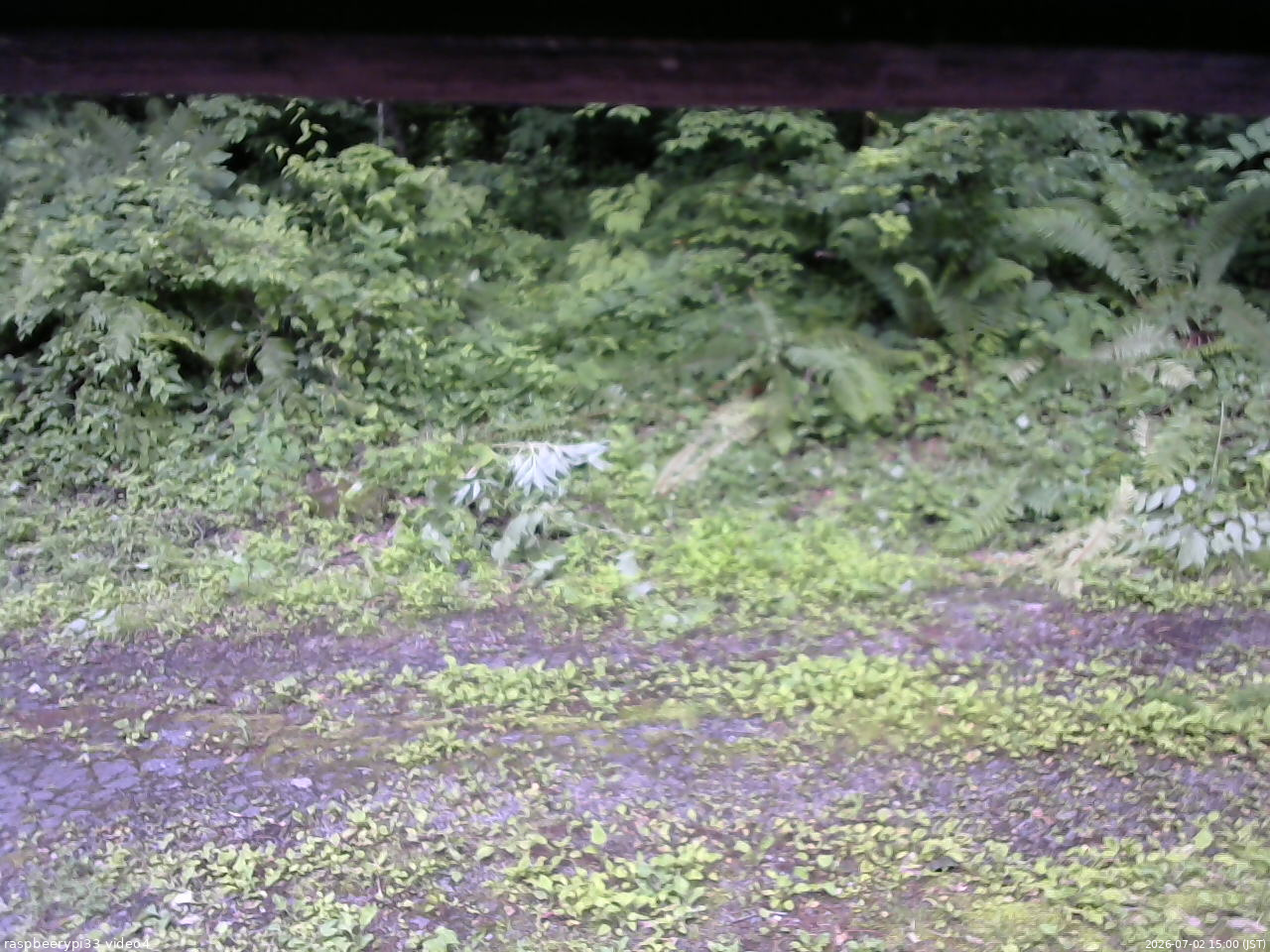 長野県菅平高原 ゆたか山荘 東側(坂下) 2026/07/02 15:00