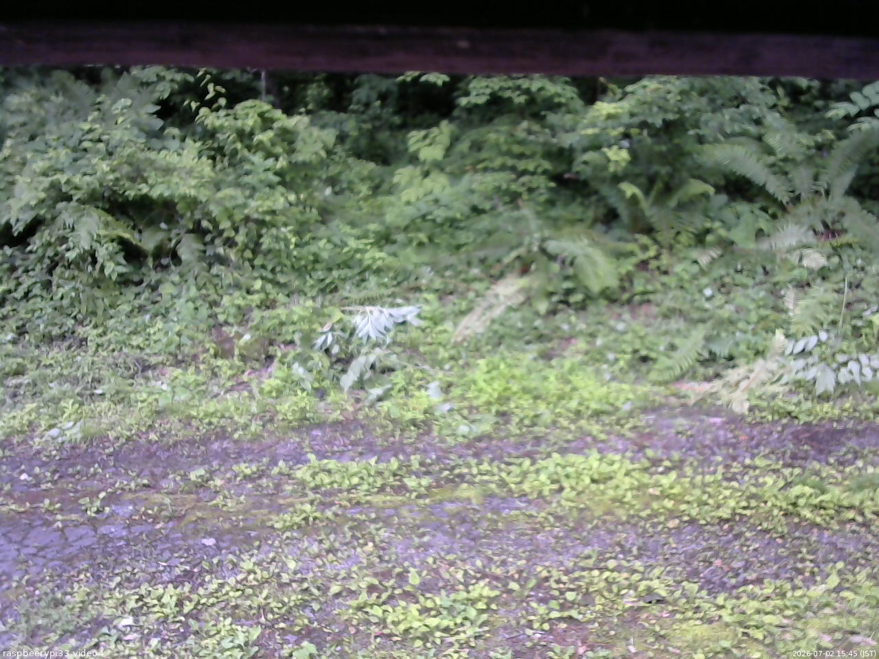 長野県菅平高原 ゆたか山荘 東側(坂下) 2026/07/02 15:45