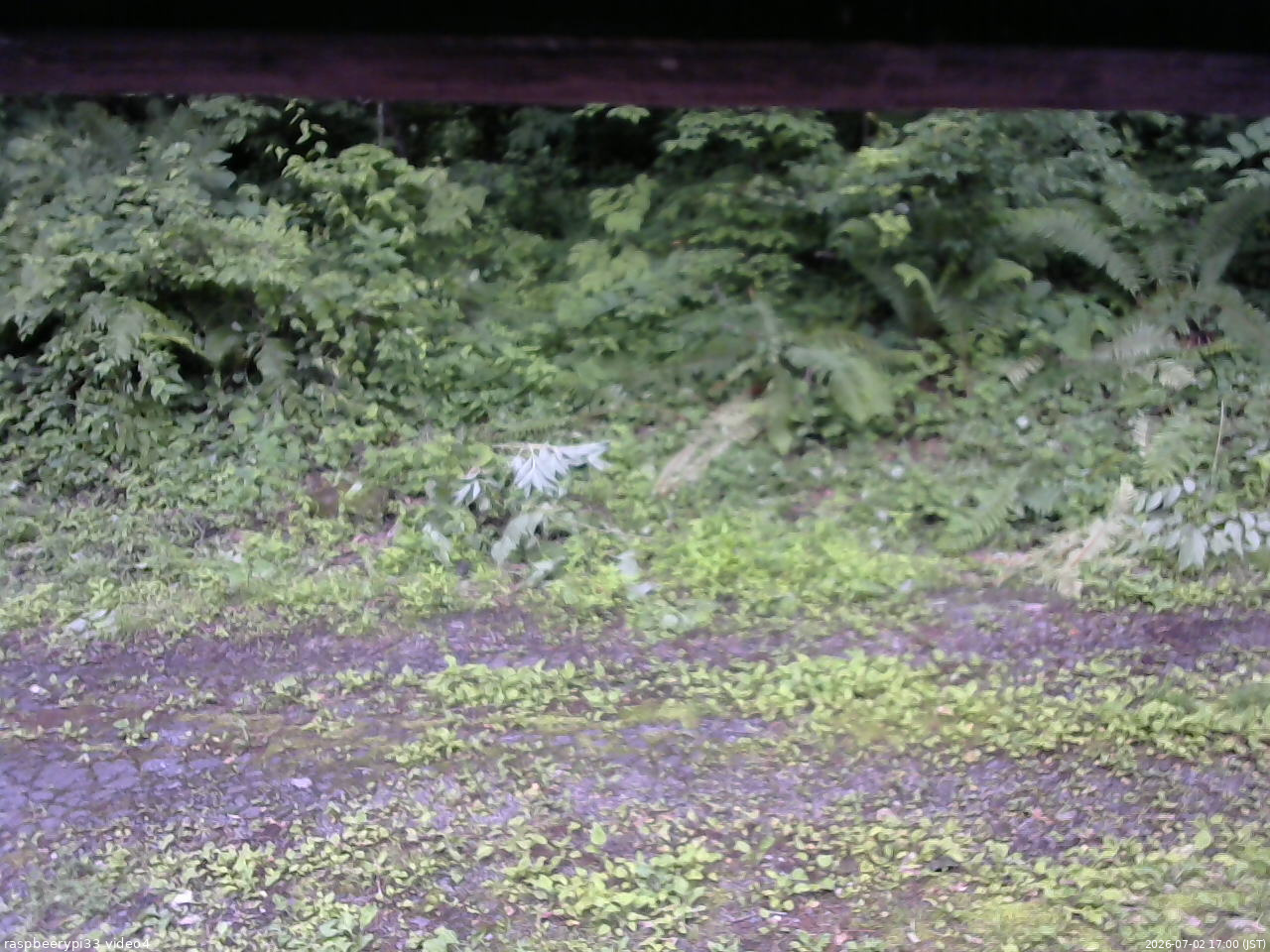 長野県菅平高原 ゆたか山荘 東側(坂下) 2026/07/02 17:00