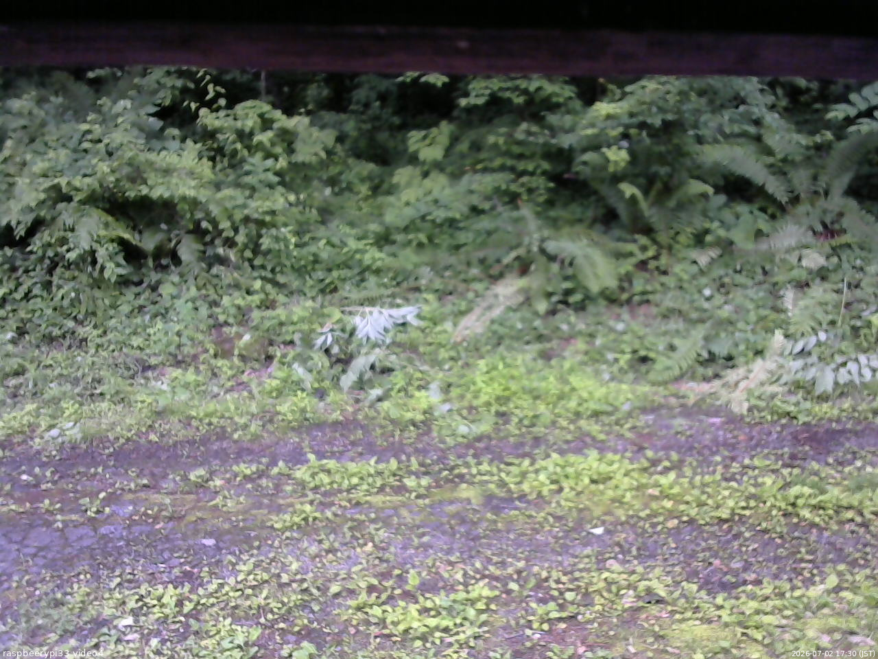 長野県菅平高原 ゆたか山荘 東側(坂下) 2026/07/02 17:30