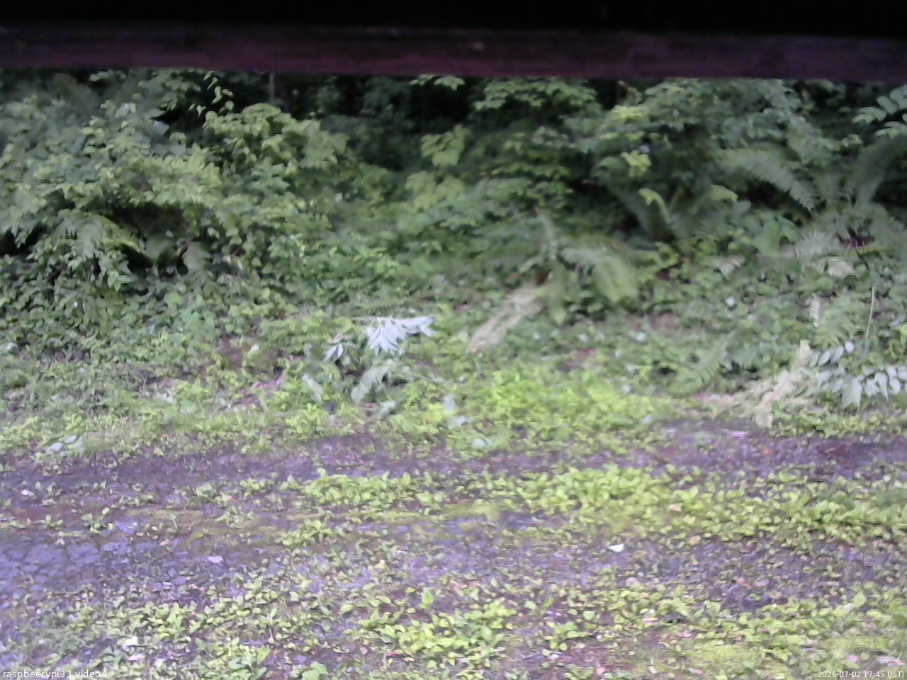 長野県菅平高原 ゆたか山荘 東側(坂下) 2026/07/02 17:45