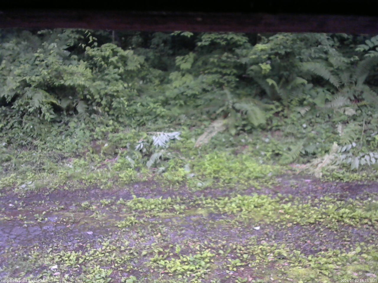 長野県菅平高原 ゆたか山荘 東側(坂下) 2026/07/02 18:15