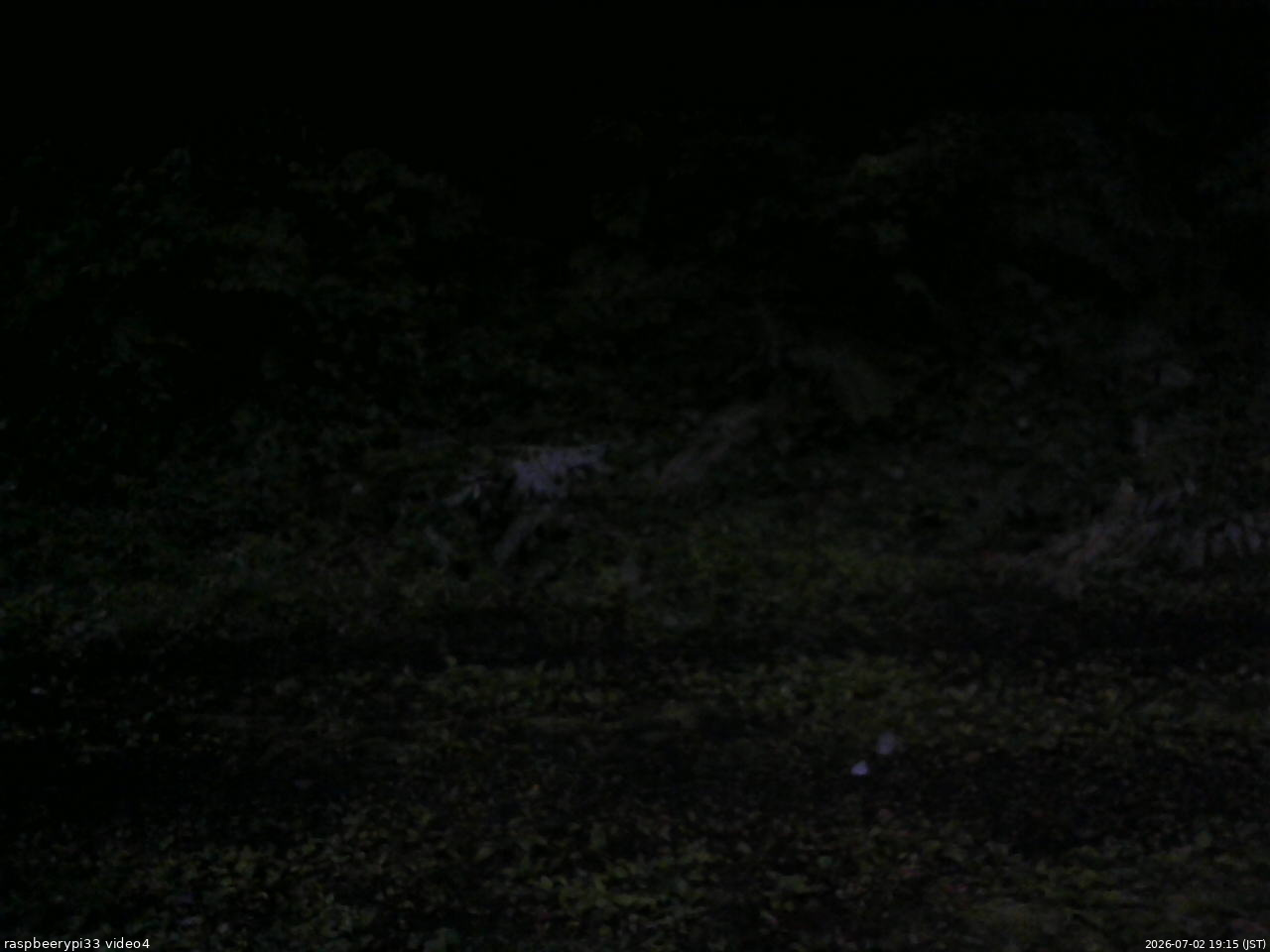 長野県菅平高原 ゆたか山荘 東側(坂下) 2026/07/02 19:15