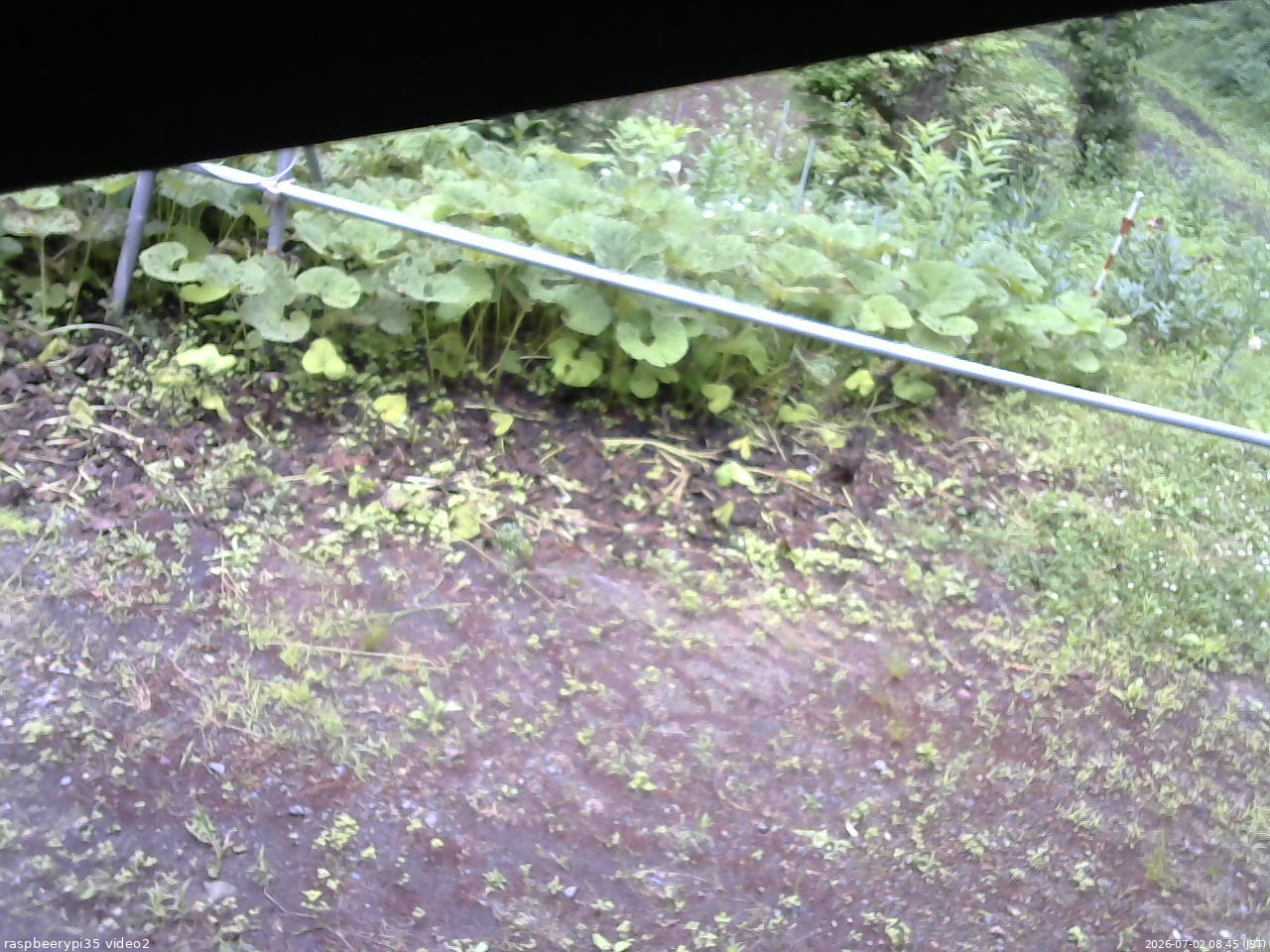 長野県菅平高原 ゆたか山荘 駐車場 2026/07/02 08:45
