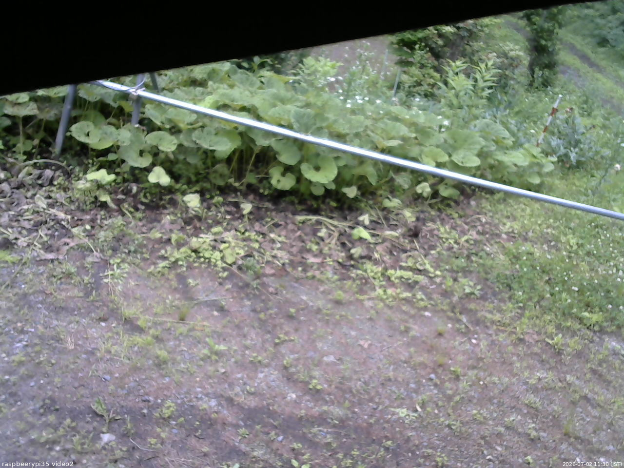 長野県菅平高原 ゆたか山荘 駐車場 2026/07/02 11:30