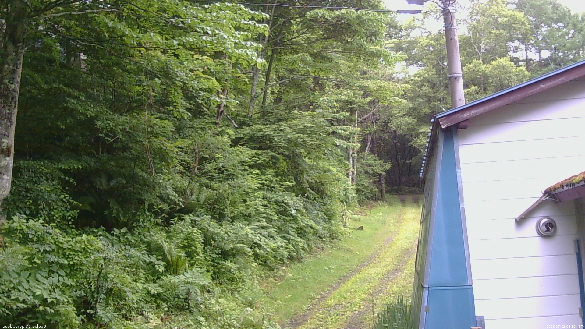 長野県菅平高原 ゆたか山荘 ゆたか山荘 2026/07/02 08:30