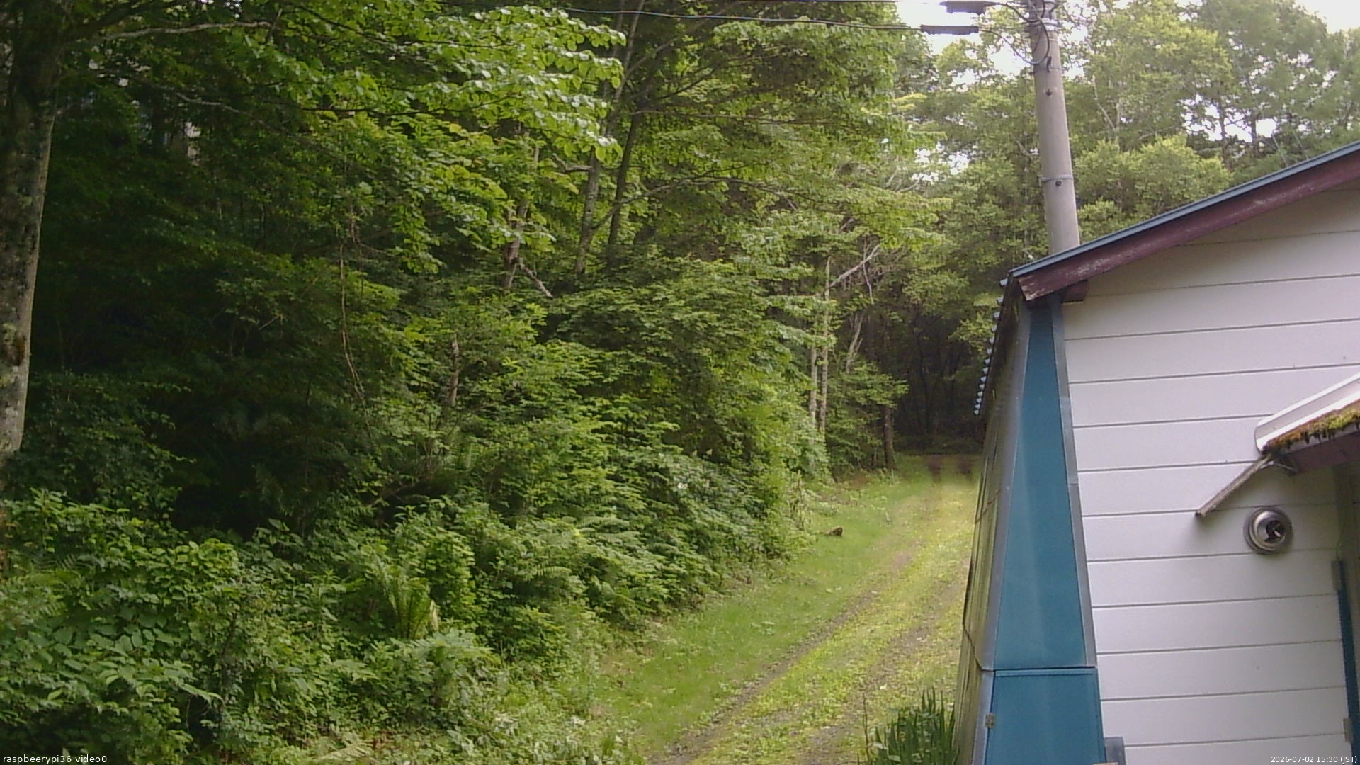長野県菅平高原 ゆたか山荘 ゆたか山荘 2026/07/02 15:30