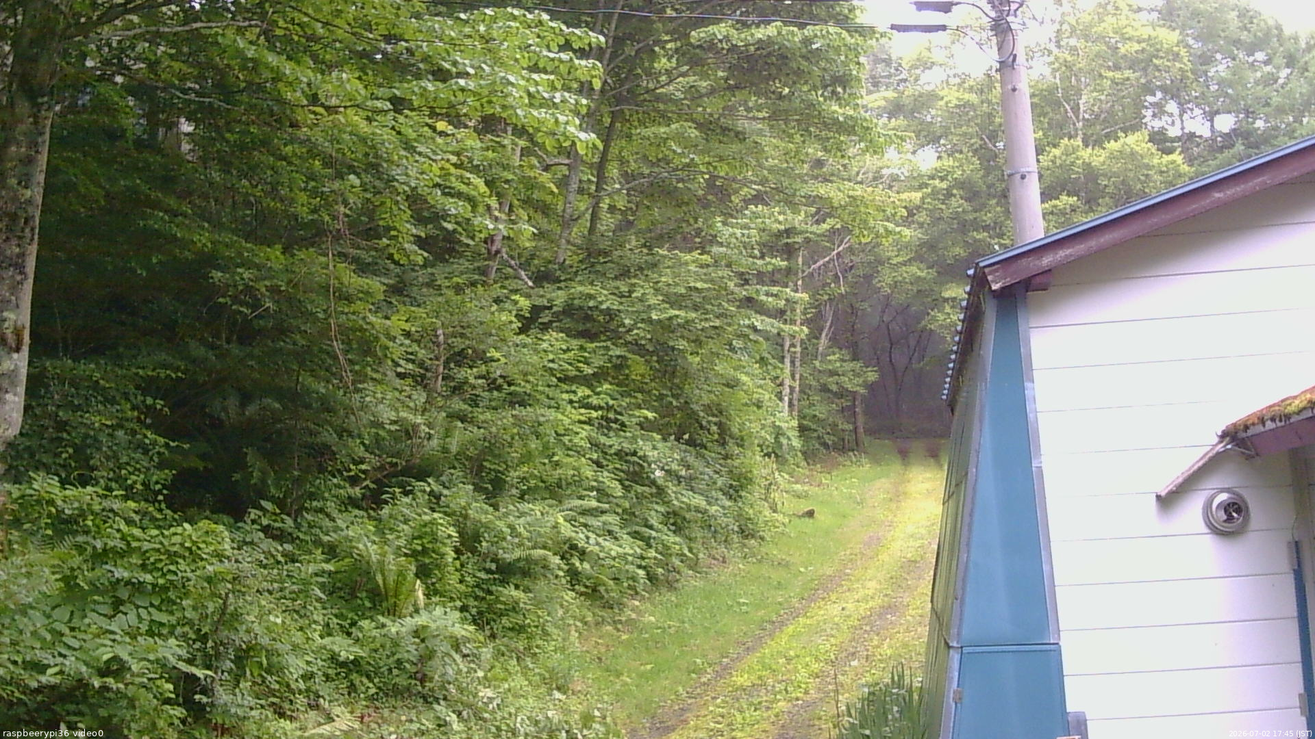 長野県菅平高原 ゆたか山荘 ゆたか山荘 2026/07/02 17:45