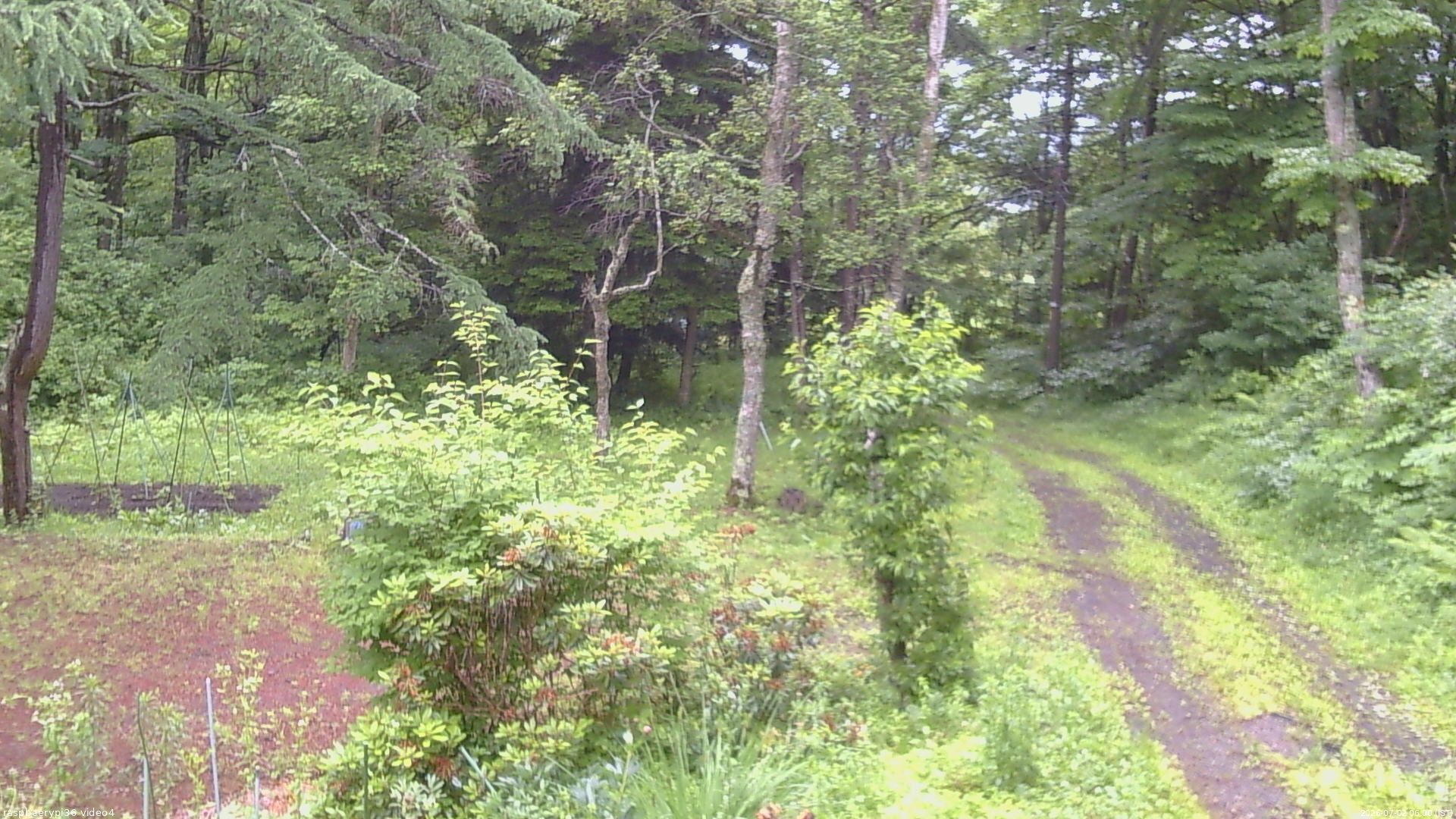 長野県菅平高原 ゆたか山荘 坂上 2026/07/02 06:00