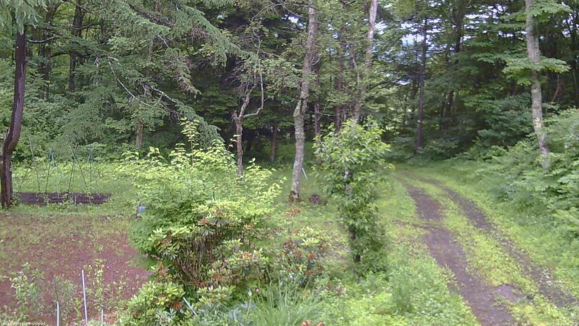 長野県菅平高原 ゆたか山荘 坂上 2026/07/02 08:00